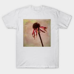 Wilted Weathered Coneflower T-Shirt